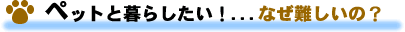 ペットと暮らしたい! なぜ難しいの?