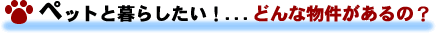 ペットと暮らしたい! ペットが飼える物件