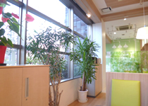 ���哇�̓���