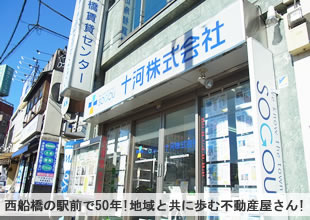 �\�͊������